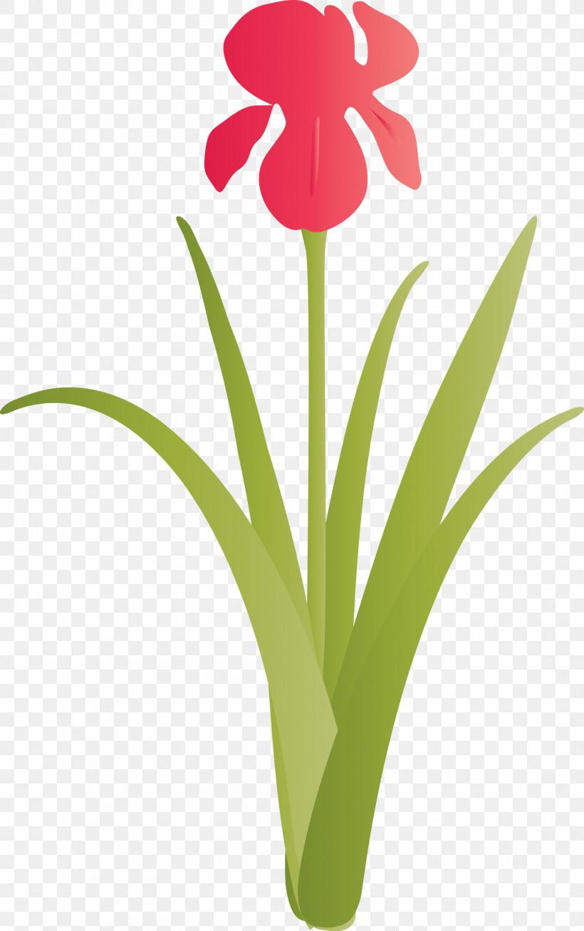 Iris Flower Spring Flower, PNG, 1881x3000px, Iris Flower, Cut Flowers, Flower, Flowerpot, Hippeastrum Download Free