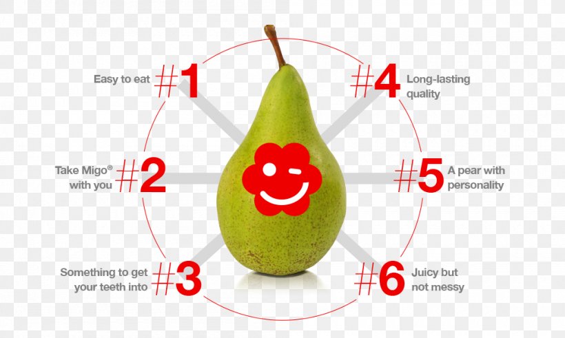 Pear Migos Vegetable, PNG, 1000x600px, Pear, Eating, Food, Fruit, Migos Download Free