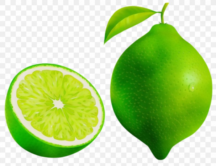Persian Lime Green Fruit Citrus Plant, PNG, 1169x900px, Watercolor, Citrus, Food, Fruit, Green Download Free
