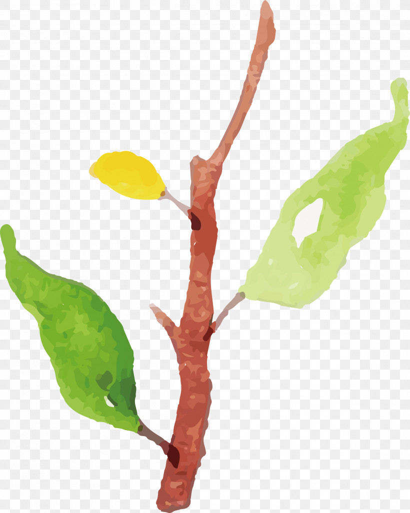 Twig Plant Stem Leaf Plants Science, PNG, 2393x3000px, Watercolor Autumn, Biology, Leaf, Plant Stem, Plant Structure Download Free