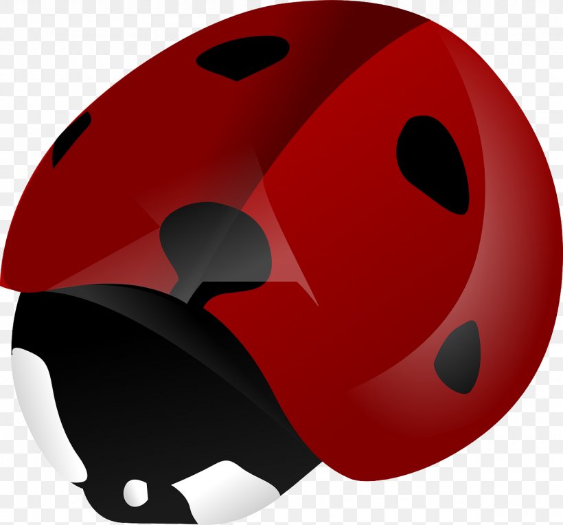 Beetle Ladybird Pixabay Clip Art, PNG, 1280x1193px, Beetle, Animal, Bicycle Clothing, Bicycle Helmet, Bicycles Equipment And Supplies Download Free