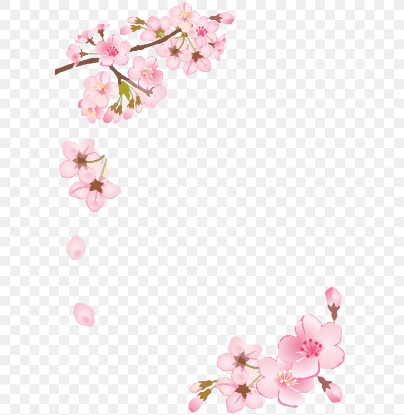 Birth 街の中の喫茶店あっぷる Cherry Blossom シーサイドリビング沙美, PNG, 595x842px, Birth, Blossom, Branch, Cherry Blossom, Floral Design Download Free
