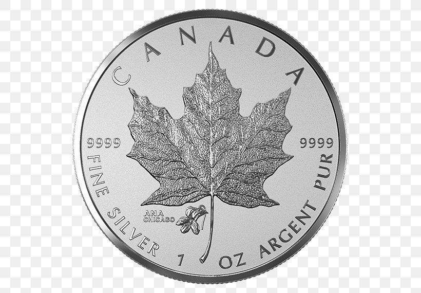 California Canada Canadian Gold Maple Leaf Silver Coin, PNG, 570x570px, California, Black And White, California Poppy, Canada, Canadian Dollar Download Free
