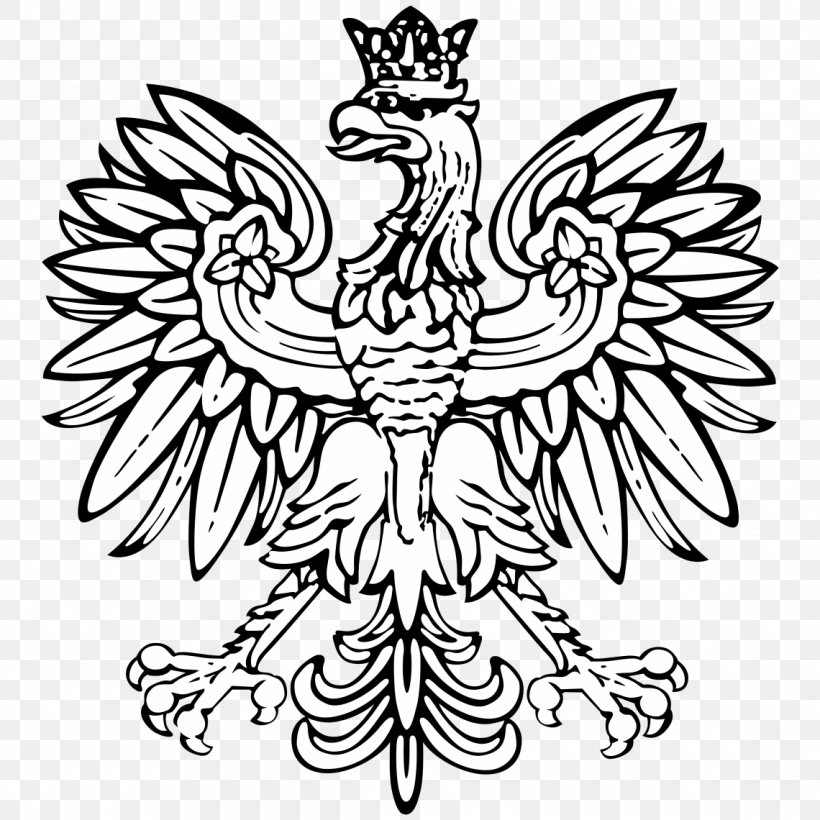 Coat Of Arms Of Poland Eagle Flag Of Poland T-shirt, PNG, 1140x1140px, Coat Of Arms Of Poland, Art, Artwork, Beak, Bird Download Free
