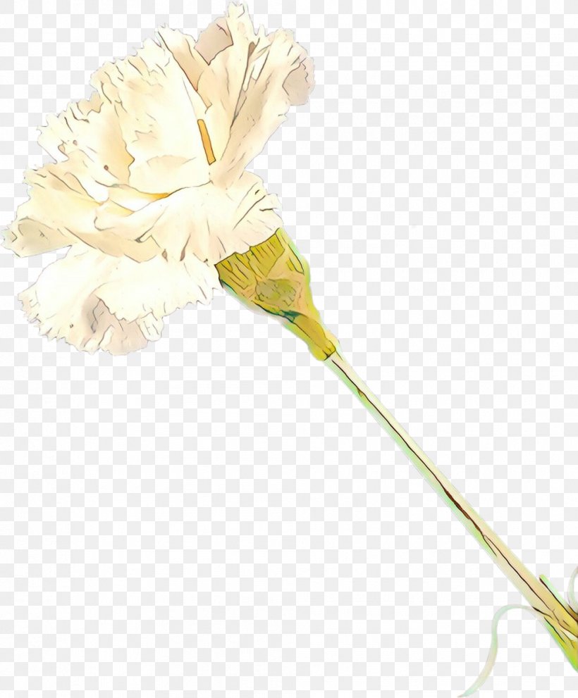 Cut Flowers Plant Stem Petal Flowering Plant, PNG, 992x1200px, Cut Flowers, Flower, Flowering Plant, Household Supply, Petal Download Free