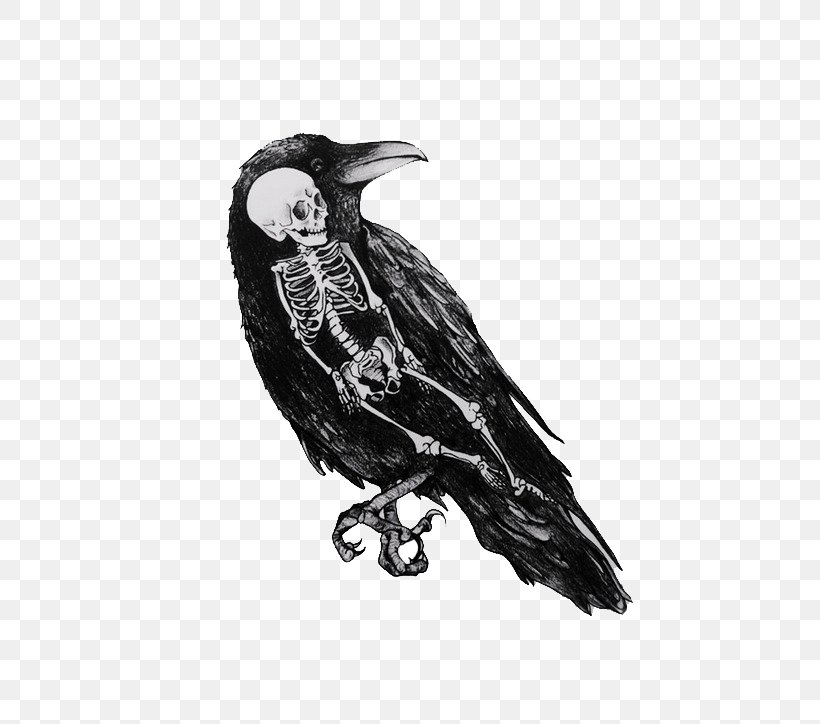 Drawing Crow Black And White Art, PNG, 500x724px, Drawing, Art, Beak, Bird, Bird Of Prey Download Free