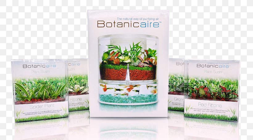 In Vitro Pte Ltd | Botanicaire Plant Research Microorganism, PNG, 800x455px, In Vitro, Brand, Company, Flower, Flowerpot Download Free