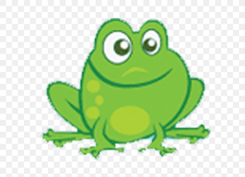 True Frog Tree Frog Toad Clip Art, PNG, 591x591px, True Frog, Amphibian, Frog, Grass, Green Download Free