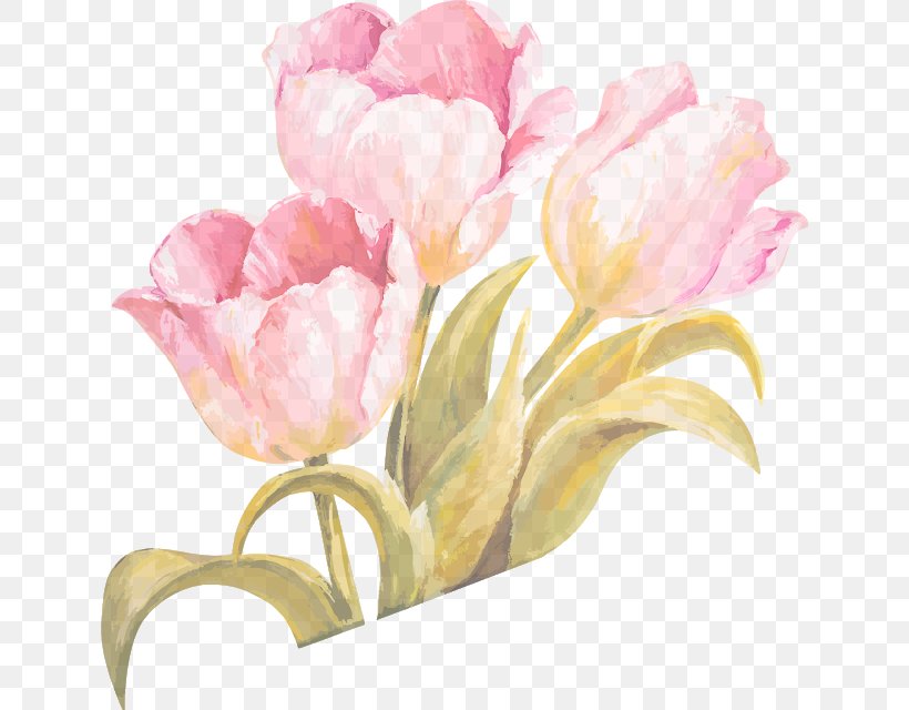 Watercolor: Flowers Watercolor Painting Vector Graphics Tulip, PNG, 638x640px, Watercolor Flowers, Art, Botany, Cut Flowers, Drawing Download Free