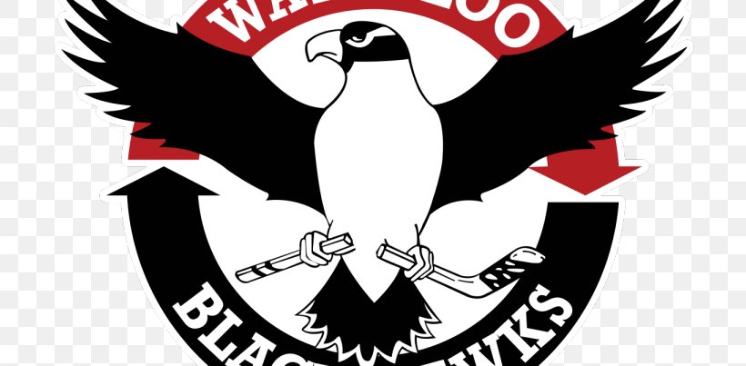 Young Arena United States Hockey League Waterloo Black Hawks Lincoln Stars Tri-City Storm, PNG, 768x403px, United States Hockey League, Artwork, Beak, Black And White, Brand Download Free