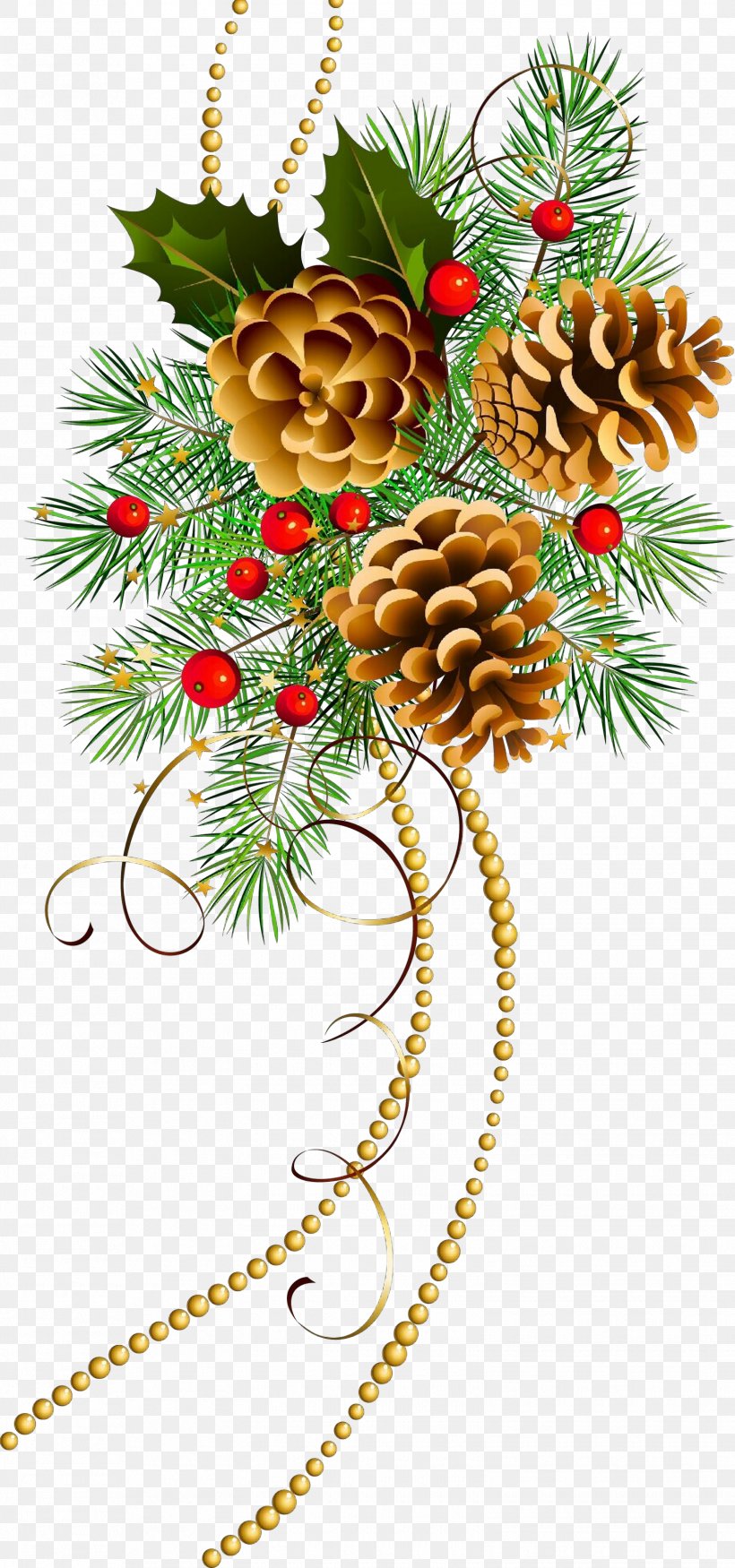 Christmas Decoration, PNG, 1550x3309px, Cartoon, Christmas Decoration, Christmas Ornament, Colorado Spruce, Conifer Download Free