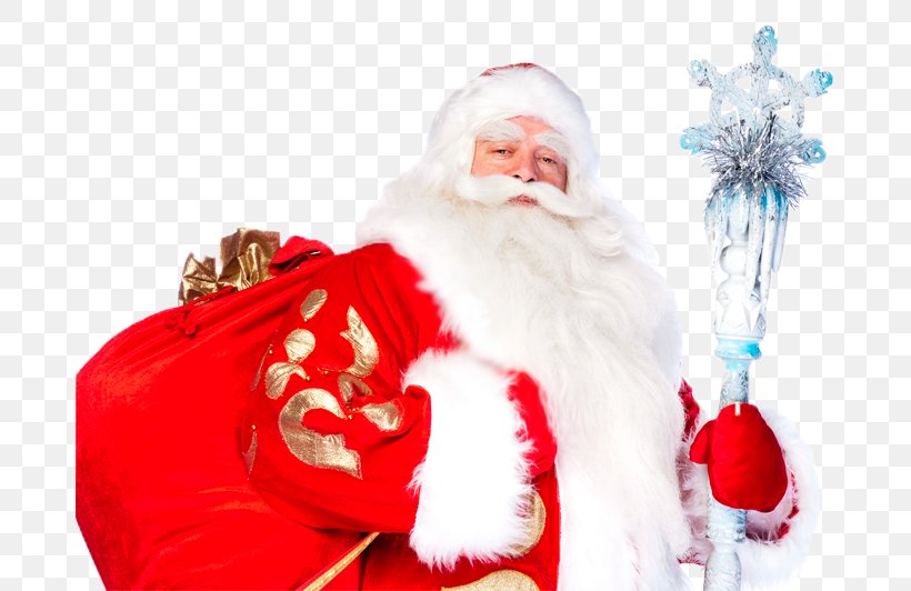Ded Moroz Snegurochka Grandfather Ziuzia Holiday, PNG, 710x532px, Ded Moroz, Birthday, Child, Christmas, Christmas Decoration Download Free