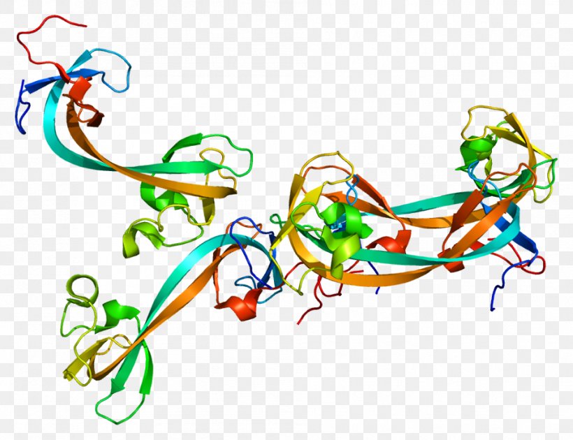 KDM4A Demethylase Gene Protein KDM4C, PNG, 954x733px, Watercolor, Cartoon, Flower, Frame, Heart Download Free