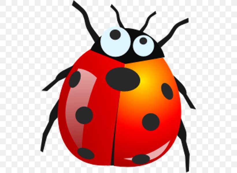 Ladybird Beetle Software Bug Clip Art, PNG, 541x600px, Beetle, Artwork, Image File Formats, Image Resolution, Insect Download Free