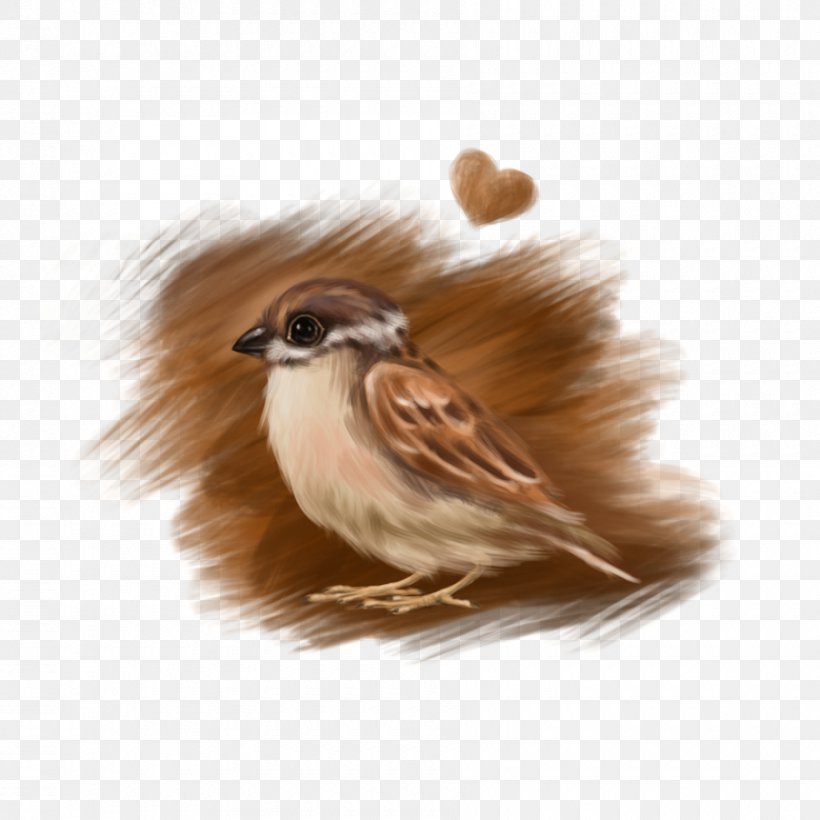 Sparrow Bird Drawing Love, PNG, 900x900px, Sparrow, Art, Beak, Bird, Deviantart Download Free