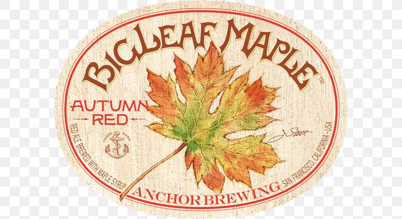 Anchor Brewing Company Beer Irish Red Ale Bigleaf Maple, PNG, 600x446px, Anchor Brewing Company, Ale, Autumn, Beer, Beer Brewing Grains Malts Download Free