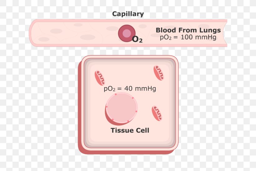 Blood Plasma Blood Volume Oxygen Animated Film, PNG, 666x550px, Blood Plasma, Animated Film, Blood, Blood Volume, Brand Download Free