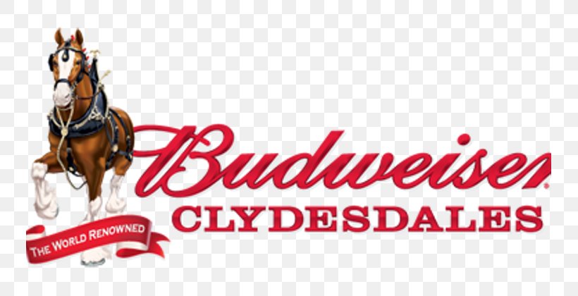 Clydesdale Horse Budweiser Clydesdales Anheuser-Busch Prohibition In The United States, PNG, 745x420px, Clydesdale Horse, Advertising, Anheuserbusch, Brand, Budweiser Download Free