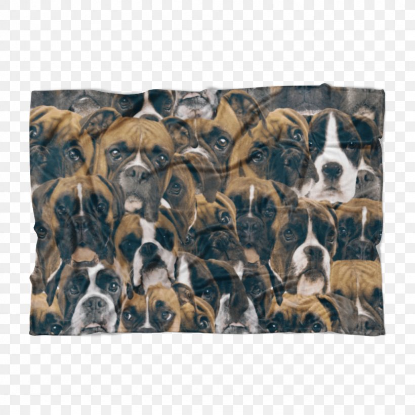 Dog Breed Snout Crossbreed, PNG, 1024x1024px, Dog Breed, Breed, Carnivoran, Crossbreed, Dog Download Free