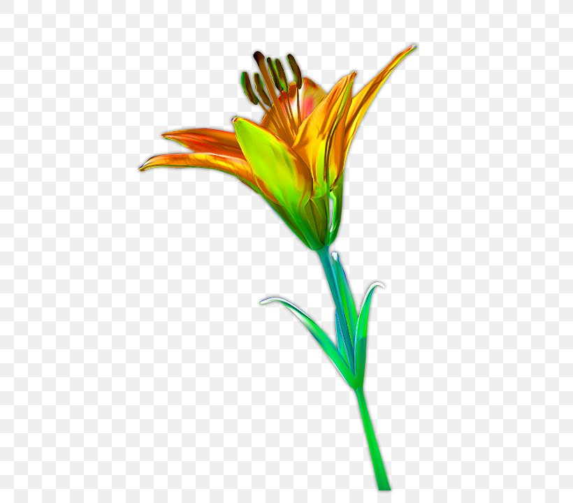 Flower Petal Computer File, PNG, 520x720px, Flower, Animation, Cut Flowers, Flora, Flowering Plant Download Free