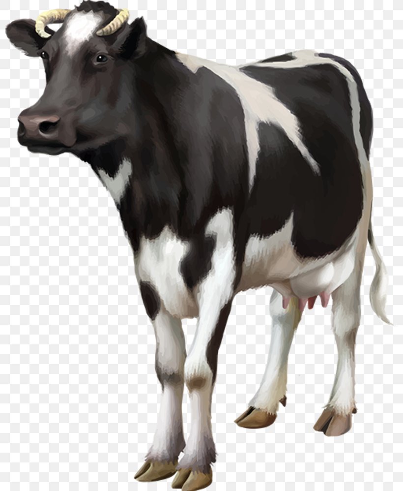 Holstein Friesian Cattle Milk Goat Dairy Cattle Dairy Farming, PNG, 800x998px, Holstein Friesian Cattle, Automatic Milking, Bull, Calf, Cattle Download Free