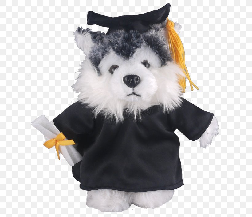 Stuffed Animals & Cuddly Toys Dog Graduation Ceremony Academic Dress T-shirt, PNG, 669x709px, Stuffed Animals Cuddly Toys, Academic Dress, Animal, Cap, Dog Download Free