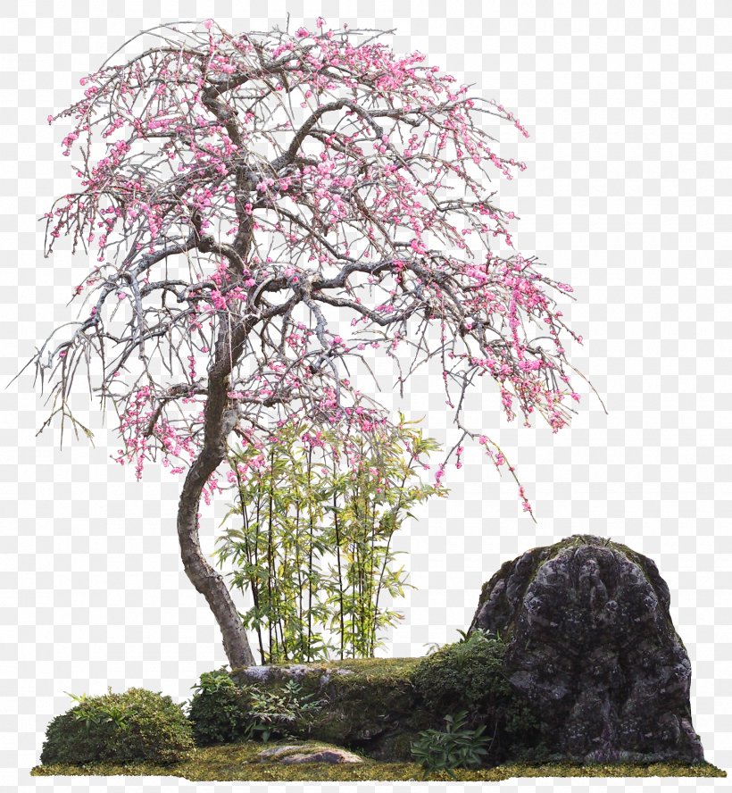 Treelet Branch PaintShop Pro, PNG, 1800x1950px, Tree, Blossom, Bonsai, Branch, Cherry Blossom Download Free