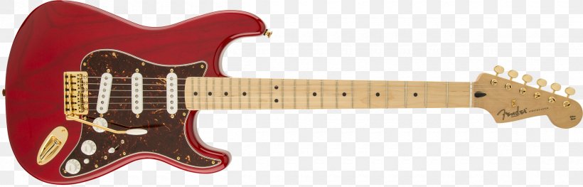 Fender Stratocaster Squier Fender Musical Instruments Corporation Fender Standard Stratocaster, PNG, 2400x770px, Watercolor, Cartoon, Flower, Frame, Heart Download Free