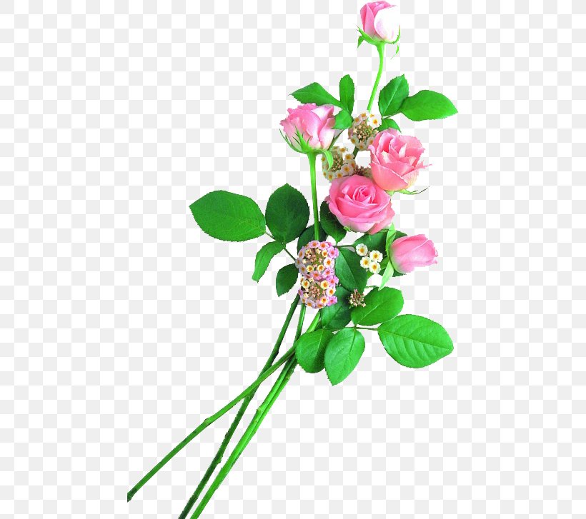 Malayalam Poetry Mother Poems Garden Roses, PNG, 464x727px, Poetry, Artificial Flower, Branch, Bud, Centifolia Roses Download Free