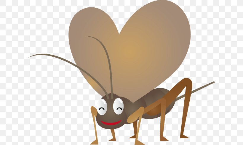 Meloimorpha Japonicus Insect Cartoon Clip Art, PNG, 630x491px, Watercolor, Cartoon, Flower, Frame, Heart Download Free