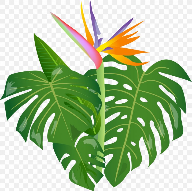 Niihau Hula Lomilomi Massage Lei Aloha, PNG, 1361x1351px, Niihau, Aloha, Flora, Flower, Flowering Plant Download Free