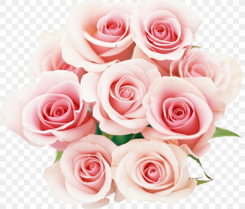 Rose Pink Desktop Wallpaper Flower, PNG, 1200x1023px, Rose, Artificial Flower, Cut Flowers, Drawing, Floral Design Download Free