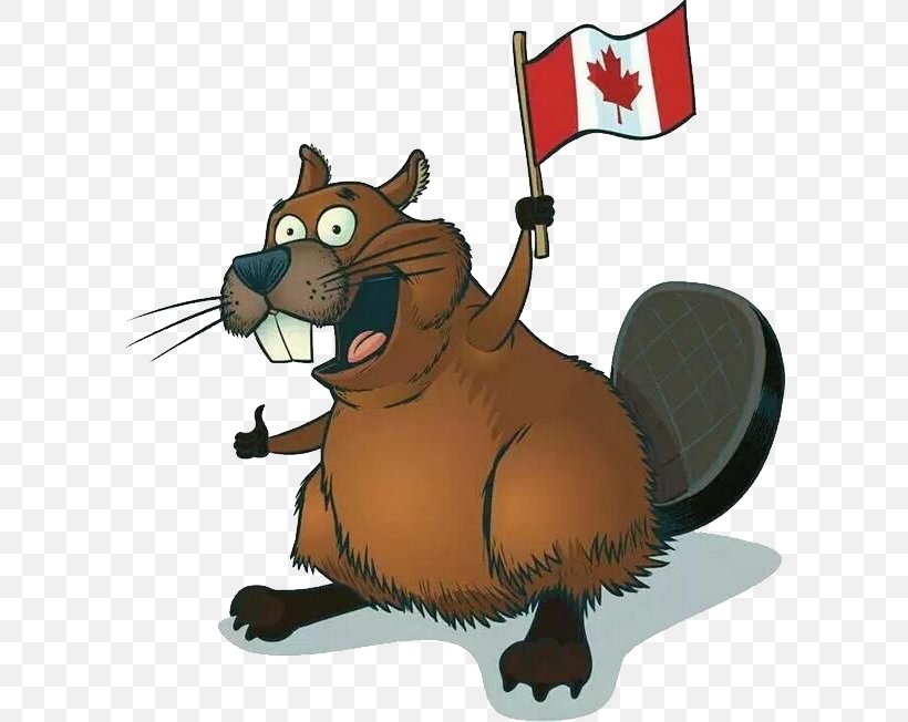 Beaver Cartoonist Drawing Joe Cartoon, PNG, 598x652px, Canada, Bear, Beaver, Canada Goose, Carnivoran Download Free