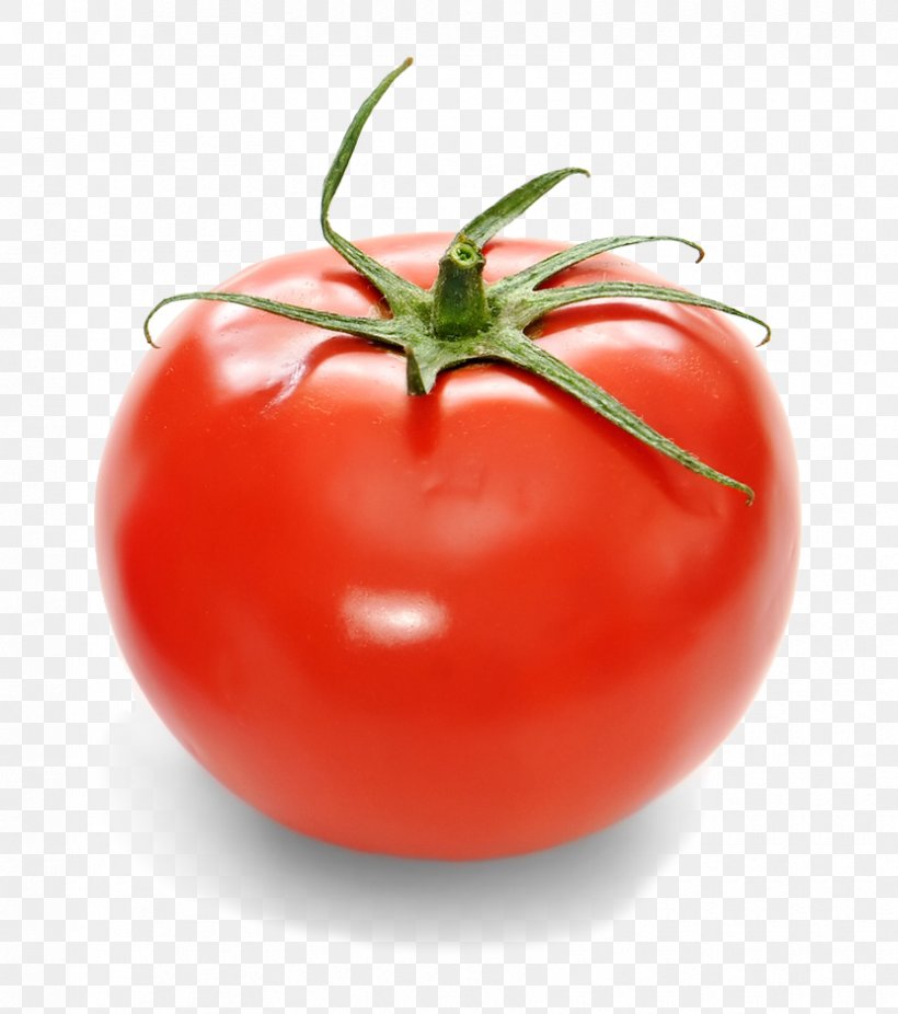 Italian Cuisine Tomato Soup Clip Art GIF Food, PNG, 830x938px, Italian Cuisine, Animation, Bush Tomato, Cherry Tomato, Computer Animation Download Free