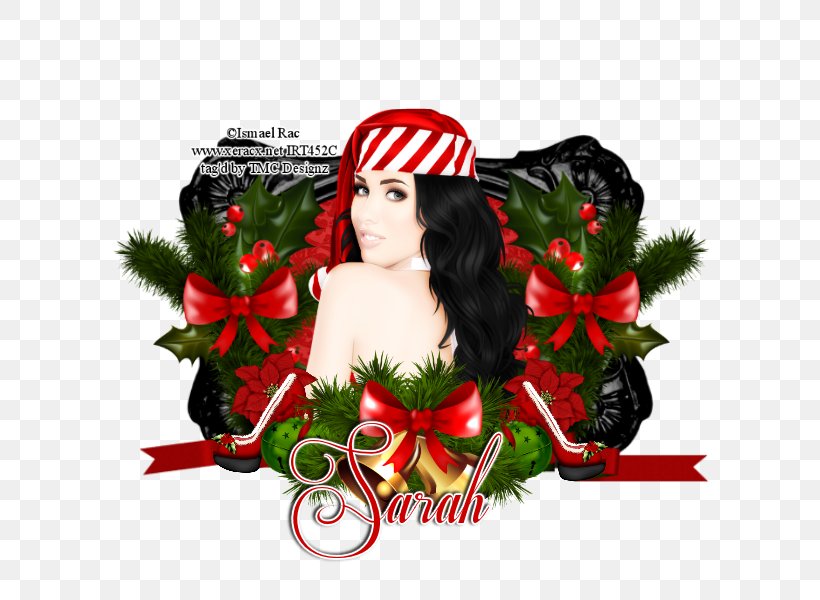 Christmas Ornament, PNG, 600x600px, Christmas Ornament, Christmas, Christmas Decoration, Holiday Download Free