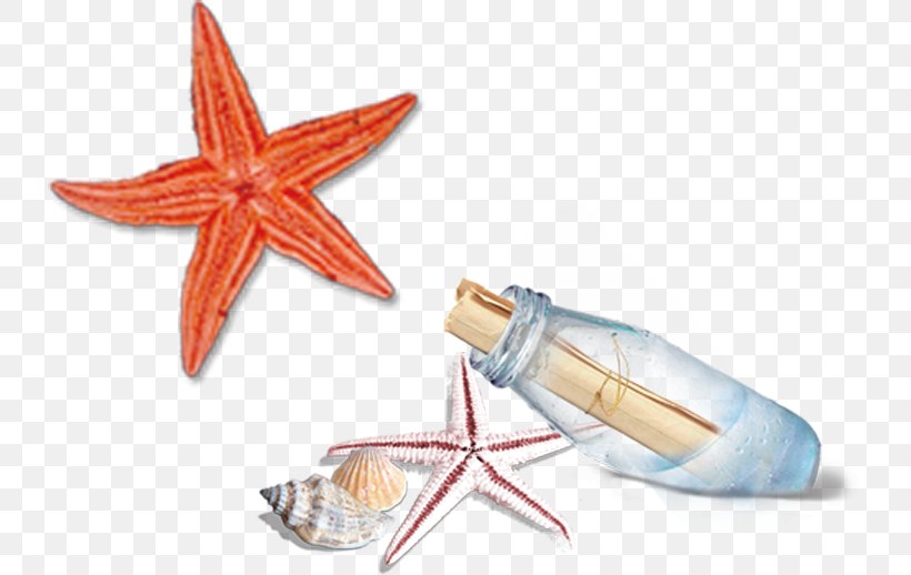 Computer File, PNG, 734x518px, Bottle, Computer Graphics, Poster, Starfish Download Free