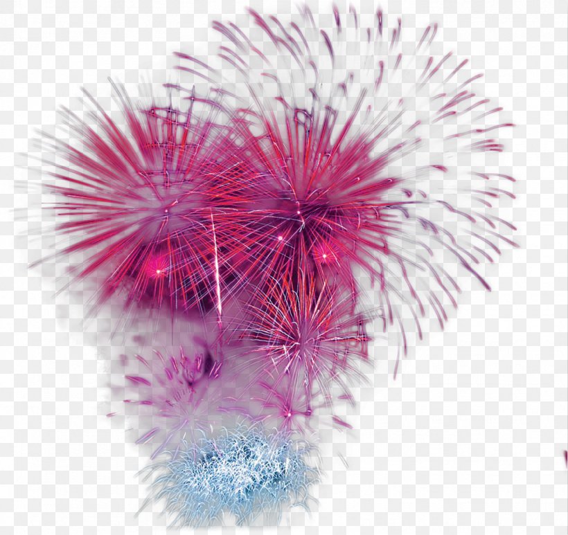 Red Purple, PNG, 1714x1617px, Red, Adobe Fireworks, Color, Festival, Fireworks Download Free
