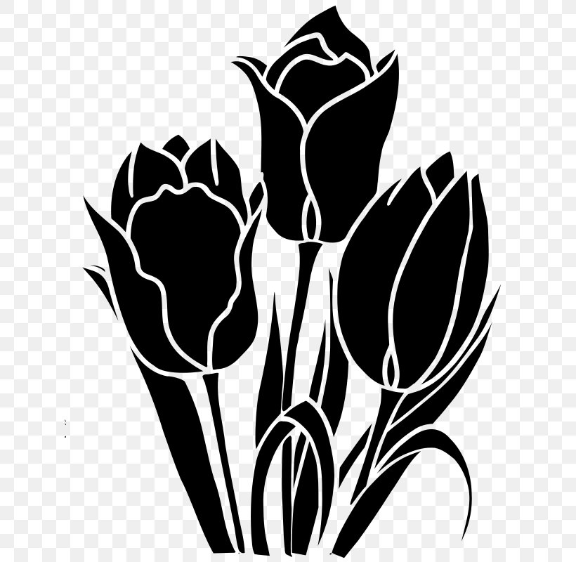 Tulip Plant Stem Leaf Font Silhouette, PNG, 636x800px, Tulip, Blackandwhite, Botany, Flower, Flowering Plant Download Free
