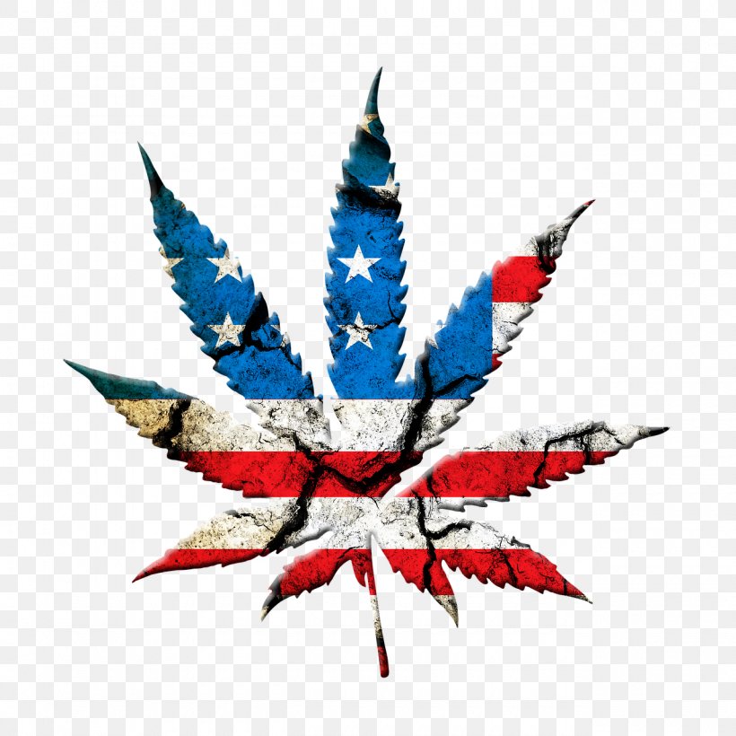 United States Medical Cannabis Legality Of Cannabis Legalization, PNG, 1280x1280px, 420 Day, United States, Cannabis, Cannabis Culture, Cannabis In Florida Download Free