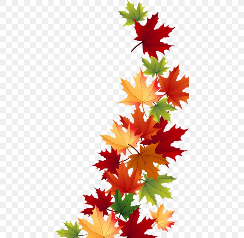 Autumn Paper Maple Leaf, PNG, 451x800px, Autumn, Autumn Leaf Color, Drawing, Flower, Flowering Plant Download Free