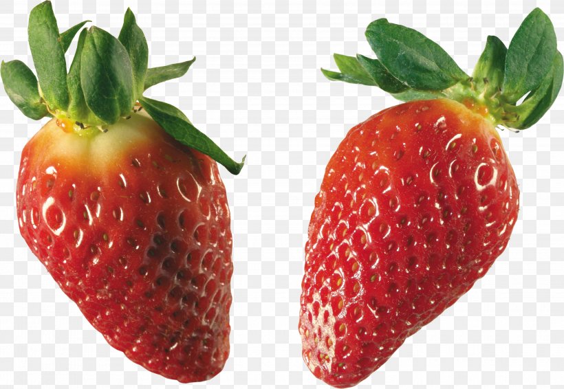 Capsicum Annuum Aedmaasikas Strawberry Scoville Unit Pungency, PNG, 3730x2577px, Capsicum Annuum, Accessory Fruit, Aedmaasikas, Auglis, Berry Download Free