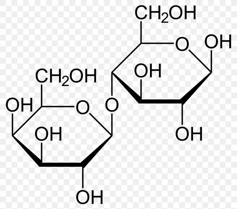 Galactose Isopropyl β-D-1-thiogalactopyranoside Fructose X-gal Lac Operon, PNG, 1100x971px, Galactose, Area, Betagalactosidase, Black And White, Brand Download Free