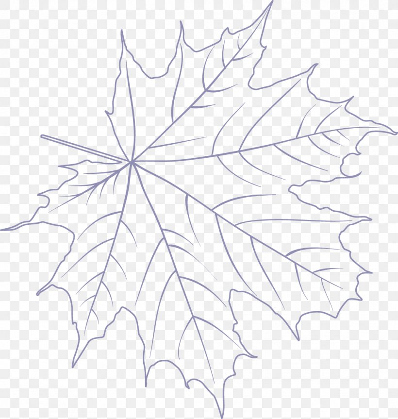 Maple Leaf /m/02csf Drawing Symmetry Line Art, PNG, 1062x1118px, Maple Leaf, Area, Artwork, Black And White, Branch Download Free