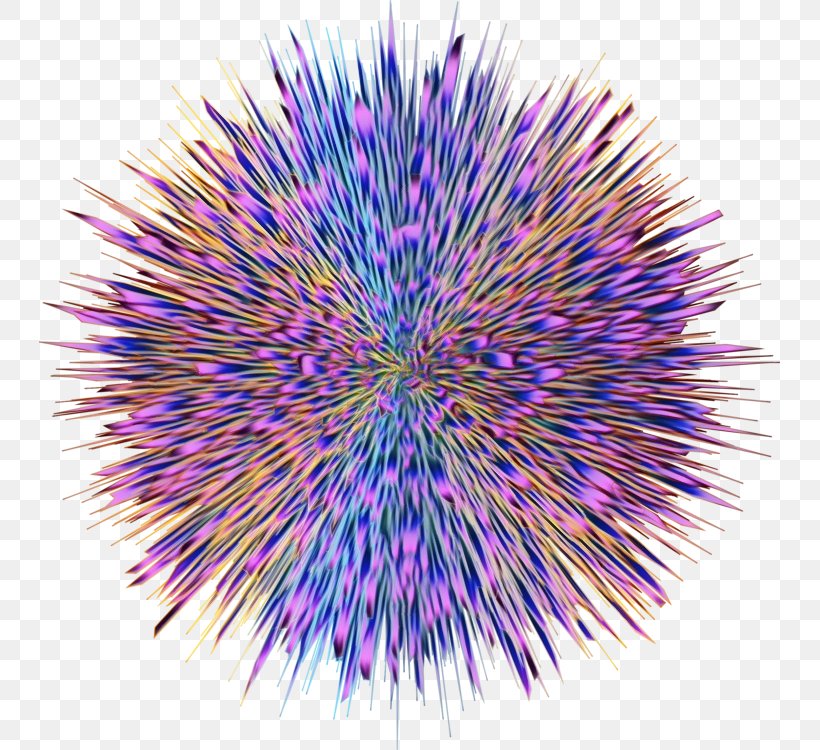 Purple Sea Urchin Violet Line Plant, PNG, 741x750px, Watercolor, Electric Blue, Globe Thistle, Paint, Plant Download Free