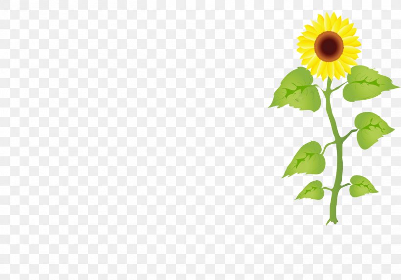 Vector Graphics Illustration Clip Art Stock Photography Royalty-free, PNG, 1411x986px, Stock Photography, Annual Plant, Asterales, Common Sunflower, Daisy Family Download Free