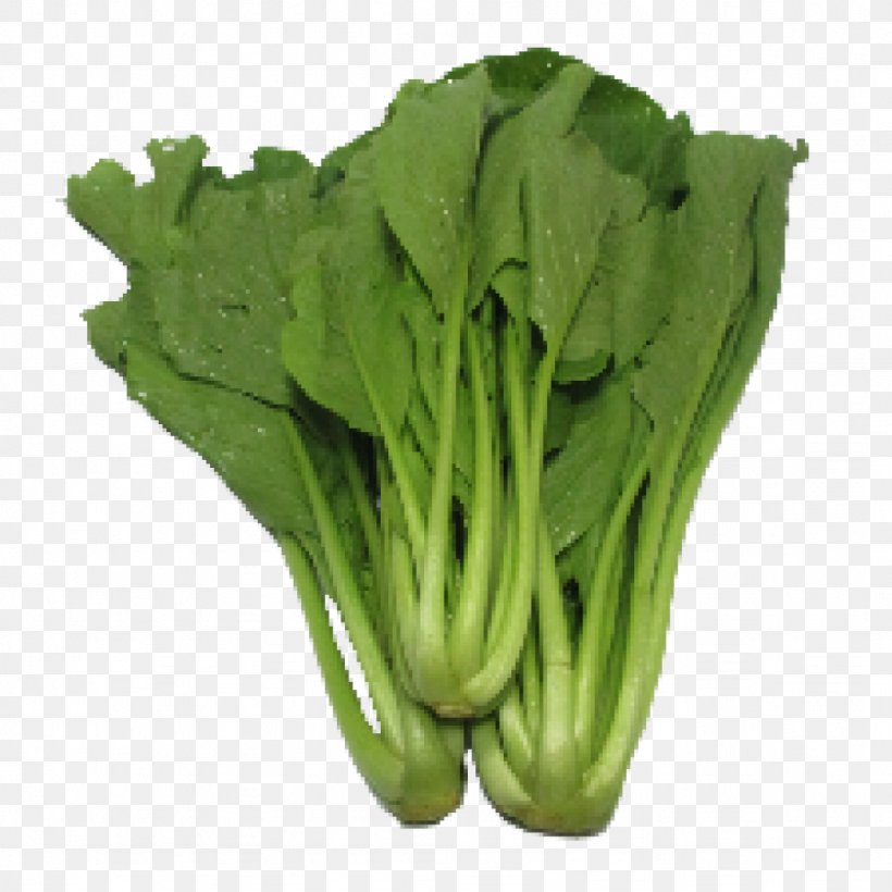 Choy Sum Leaf Vegetable Chinese Broccoli Lettuce, PNG, 1024x1024px, Choy Sum, Bok Choy, Broccoli, Chard, Chinese Broccoli Download Free