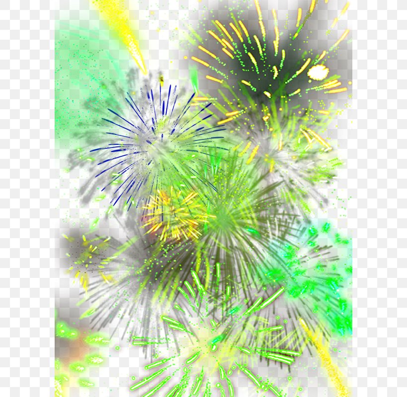 Fireworks Green, PNG, 600x800px, Fireworks, Adobe Fireworks, Branch, Fire, Grass Download Free