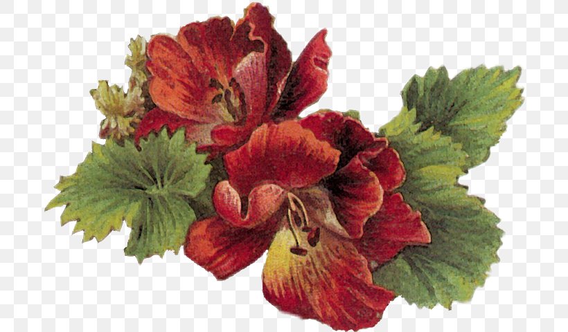 Floral Design Flower Clip Art, PNG, 700x480px, Floral Design, Annual Plant, Art, Basket, Cut Flowers Download Free