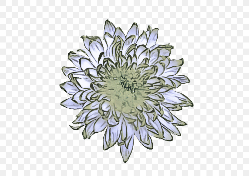 Flower Plant Petal Aster Pattern, PNG, 559x580px, Flower, Aster, Dahlia, Petal, Plant Download Free