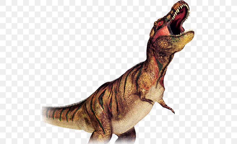 IMG Worlds Of Adventure Dinosaur Tyrannosaurus Spider, PNG, 530x500px, Img Worlds Of Adventure, Dinosaur, Extinction, Github Inc, Goliath Birdeater Download Free